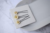 Frangipani hair pins